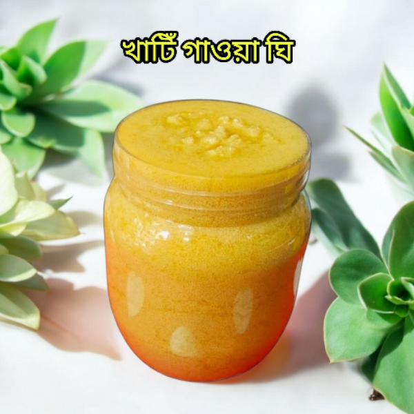 খাটিঁ গাওয়া ঘি